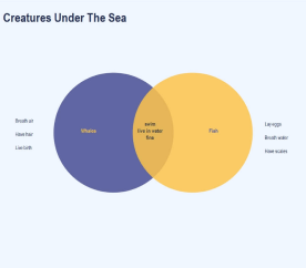 Creatures Under The Sea Venn Diagram